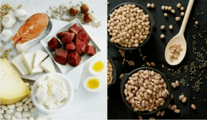 أمثلة على منتجات حمية البروتين